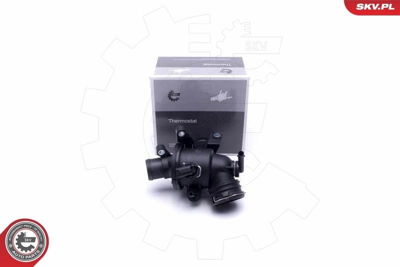 Thermostat, coolant
